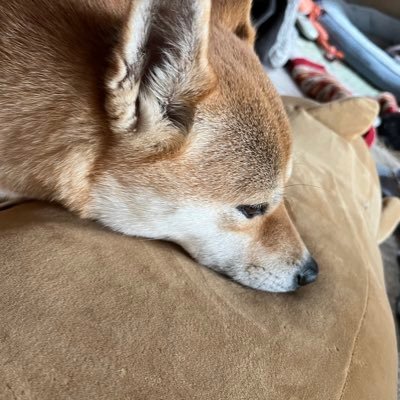 くだらねぇ茶番になんか付き合うもんかクソめ。もう自分の好きに生きる♡ご縁は大事♡不要なご縁はぶった切ろうぜ🎶自分と自分の周りの大切な人がHappyならそれでいい♡ただそれだけ。シンプルにいこう(*•̀ㅂ•́)و✧うん。そうしよう!あ、森野雄貴さん、ミAア応援中✨『思考が先 現実はあと』ふーみん♡♡