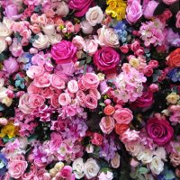 Daniela π± (@daniela45794841) 's Twitter Profile