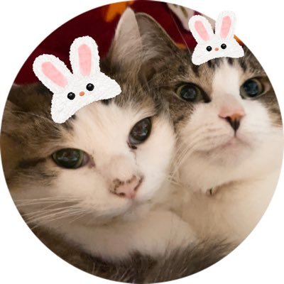 clover_stk's profile picture. Twitter→2010.11.20〜。好き→ｻｶﾅｸｼｮﾝ。luckytapes｡中日。ﾌｨｷﾞｭｱｽｹｰﾄ。もんじゃ。映画。アニメ。漫画。古河。つくば。羽生結弦くん。坂口健太郎くん。仕事→美容室ﾚｾﾌﾟｼｮﾝ。145㎝。無言ﾌｫﾛｰ大歓迎♡深海魚民🐟