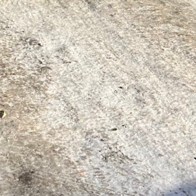 aoooooooo12685's profile picture. 