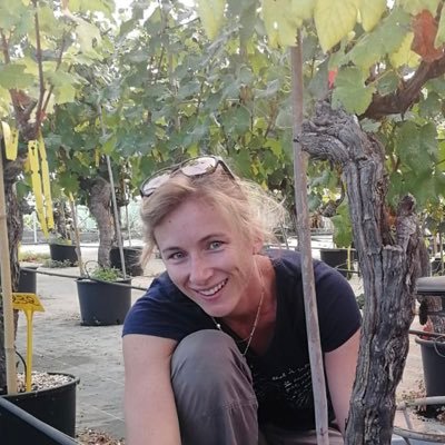 Plant scientist at INRAE #grapevine #climate #drought #esca @ICGTD1