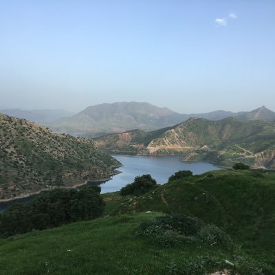 Mustafa67361191's profile picture. Looking for peace, internally and for people