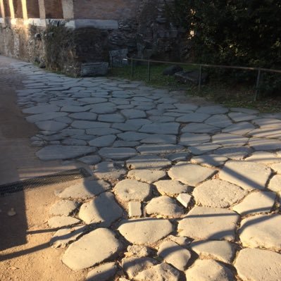 FOSSIL49's profile picture. 