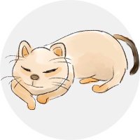 かわみ (@pp_kawami) 's Twitter Profile Photo かわみ (@pp_kawami) 's Twitter Profile Photo