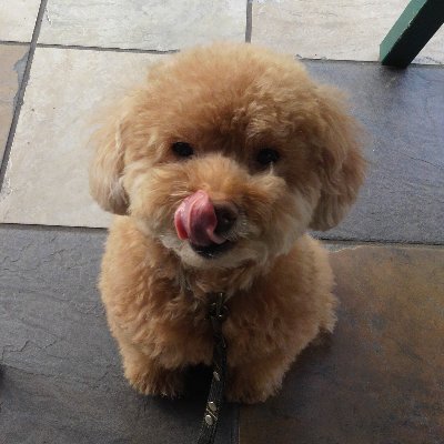 【懐疑】ホメオタ(ホメオパスならオルガノンぐらいちゃんと読め派)SNS式神。『謎解き 超科学』ASIOS(彩図社)にホメオパシーのこと書かされました(Kindle版もあるよ)。座右の銘「いつも心にひとりのナンシーを」『えるかふぇ』製菓担当 https://t.co/VFK4ps8aDX