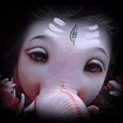 Bhuva29's profile picture. King Tiger