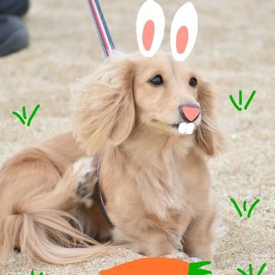 Love27andBio's profile picture. ゆっこです。
兵庫→愛知→兵庫→🇮🇩