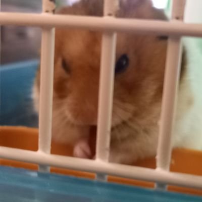 yokoturbo's profile picture. 北陸生まれ・関東育ち・関西在住…こんな私ですけど、どうぞよろしくです