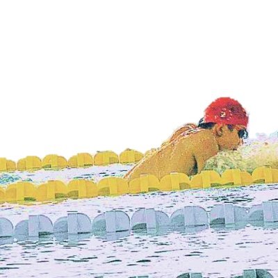 /* 東大 特任研究員, 学振PD, Artificial Life, Multi-Agent Simulation */