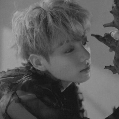 luisaaa52983353's profile picture. No bts no life