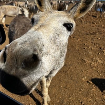 ProjectME16's profile picture. #dailyhabits #habits #goodhabits #7habitsofhighlyeffectivepeople #goals #atomichabits #successhabits #habitsofsuccessfulpeople