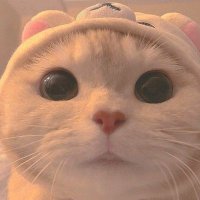 Betül (@betulperii) Twitter profile photo