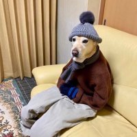wind (@windwhistleweb) 's Twitter Profile