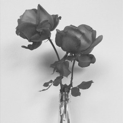 SilBja's profile picture. Español