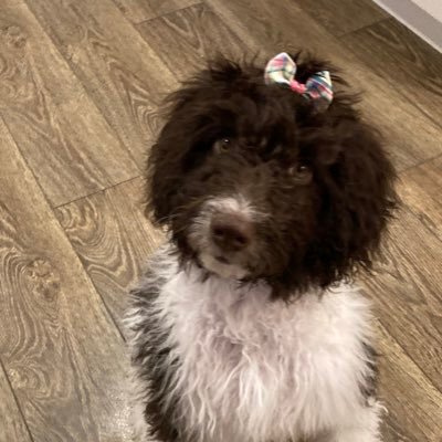 Cluckin11's profile picture. Born in the USA • FJB  •  MAGA • America First •