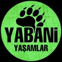 Yabani Yaşamlar(@yabaniyasamlar) 's Twitter Profileg