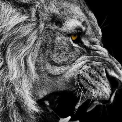 BigGozz1206's profile picture. 