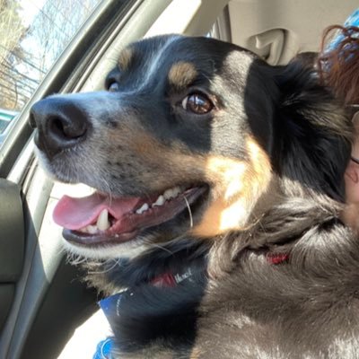 incognitomadz's profile picture. yo