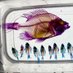 Gidmark Lab (@gidmarklab) Twitter profile photo Gidmark Lab (@gidmarklab) Twitter profile photo
