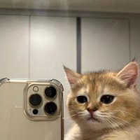 noah fence (@tasiturno22) 's Twitter Profile