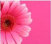 WLNofDecorah's profile picture. The Women’s Leadership Network of Decorah is for all women that want to network and gain skills to achieve professional and personal success.