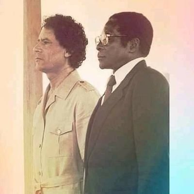 koyagah's profile picture. Not a real person