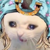 💚💙🧸🐁💚💙 (@caliceal) 's Twitter Profile