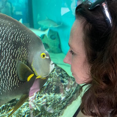 jodoty09's profile picture. 