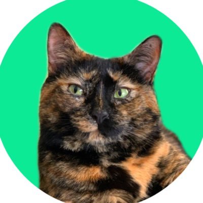 _We_Rate_Cats Profile Picture