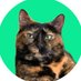 WeRateCats (@_We_Rate_Cats) Twitter profile photo