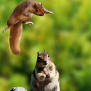 stuart spencer - @bigstu70 - Twitter