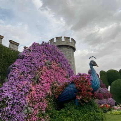 i_ayshaa1's profile picture. {لَا تَدْرِي لَعَلَّ اللَّهَ يُحْدِثُ بَعْدَ ذَٰلِكَ أَمْرًا}