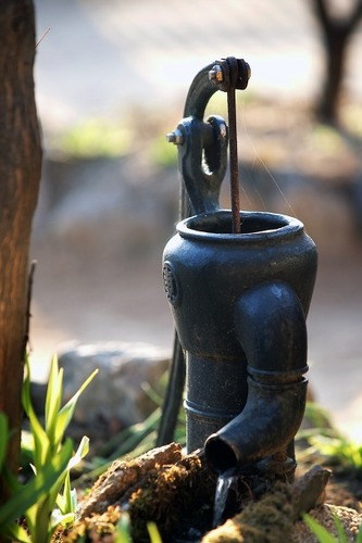 dlwodn1973's profile picture. 나꼼수,하종강,보편적복지,비정규직철폐,기능직처우개선,포퓰리즘타파,불교,다방커피