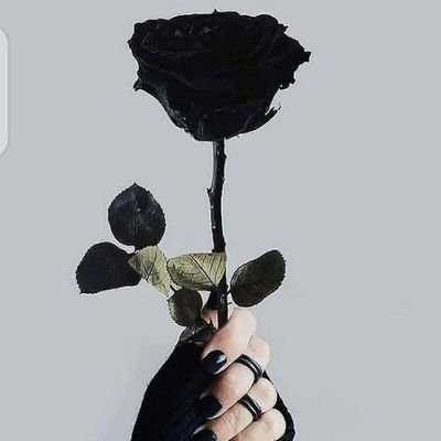 Don't follow me, you'll miss your way💀