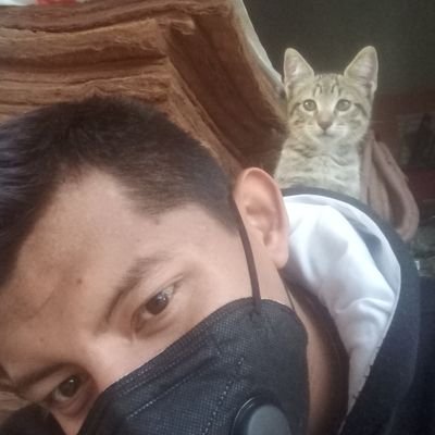 Gustavo20086361's profile picture. 