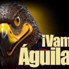 dmorenoalvarado's profile picture. 