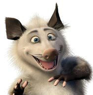 tlacuache72's profile picture. Marsupial, actor, ex-stuntman, copy writer y vago por los temas de la magia.