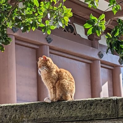 主に連絡用+情報収集用アカウントです。
雨の日に片付けをしています。【ブログ】
https://t.co/QINFgFJwnw