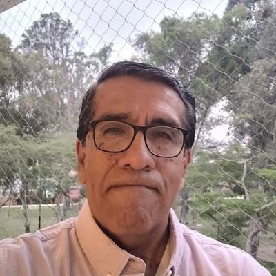 Economista, profesor universitario y servidor público