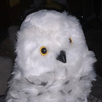 🦉 by day. Human by night. Involved in DuoWOA/LumiaWOA, @FeniceWindows, @Inside_Windows. Likes to tinker with devices. PhD Student @labriOfficial / Progress