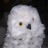 gus33000's profile picture. PhD student in the Progress Team at Bordeaux's Computer Science Laboratory by day.🦉by night. Involved in various online projects. Likes to tinker with devices.