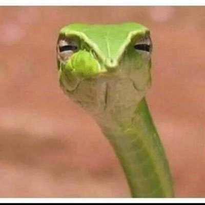 alverto8311's profile picture. contenido para mallores👀