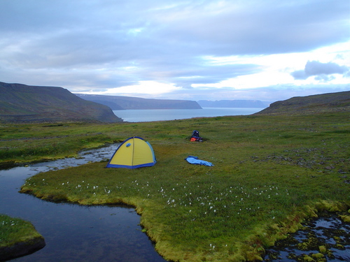 paul ポール faris