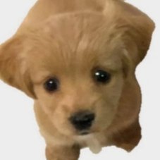 Carl19954's profile picture. nothing