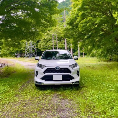 一眼レフやiPhone15Pro Maxで撮った写真や愛車トヨタ（RAV4）の事を呟きます！！