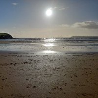 Paul Foley (@axels96) 's Twitter Profile