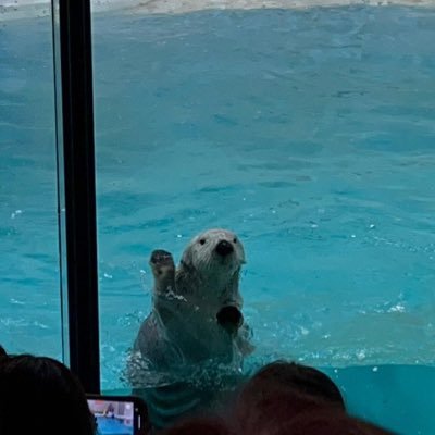 wawawanakayoshi's profile picture. MINI(田島さん) ≒JOYの逢田珠里依さん≠MEの谷崎早耶さんヲタクです。 94line🚹 (イケメンではないですが、イケメンがつぶやいてると思ってください) インスタは聞いてくれたら教えます。同担は拒否ではなく、是非フォローしていただけると嬉しい....