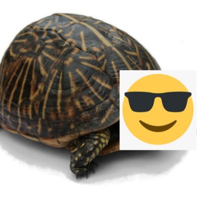 turtledude100's profile picture. 