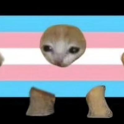 asteroid_sys's profile picture. 