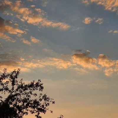 FA_RA_2021's profile picture. 